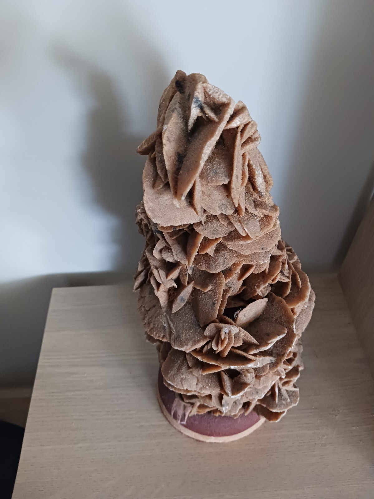 Foto 2 di 7