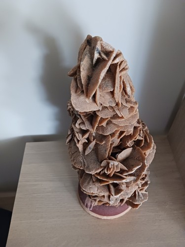 Grande Rose des sables montée sur socle - Foto 2 di 7
