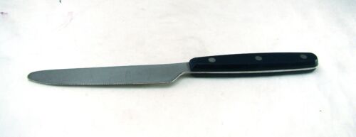 Oneida Edelstahl (Unmarkiert) Plastik Griff Farbe Trends Navy Dinner Messer ( - Bild 2 von 7