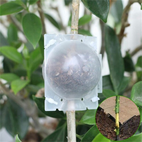 4-30Pcs Tree Root Growing Box Rooting Ball Grafting Tools Reusable High Pressure - Picture 5 of 29