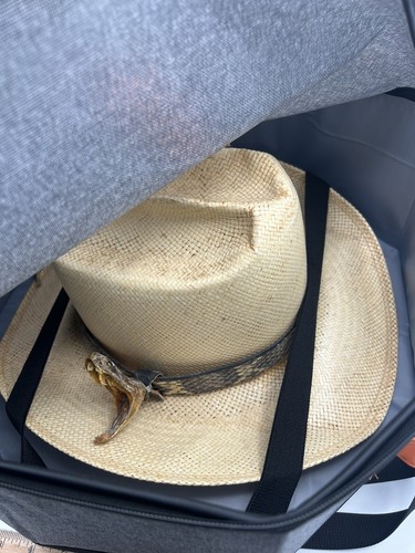 Sombrero The American Hat Company Panamérica con banda para la cabeza de serpiente de cascabel de Texas 7 3/8 - Imagen 11 de 13