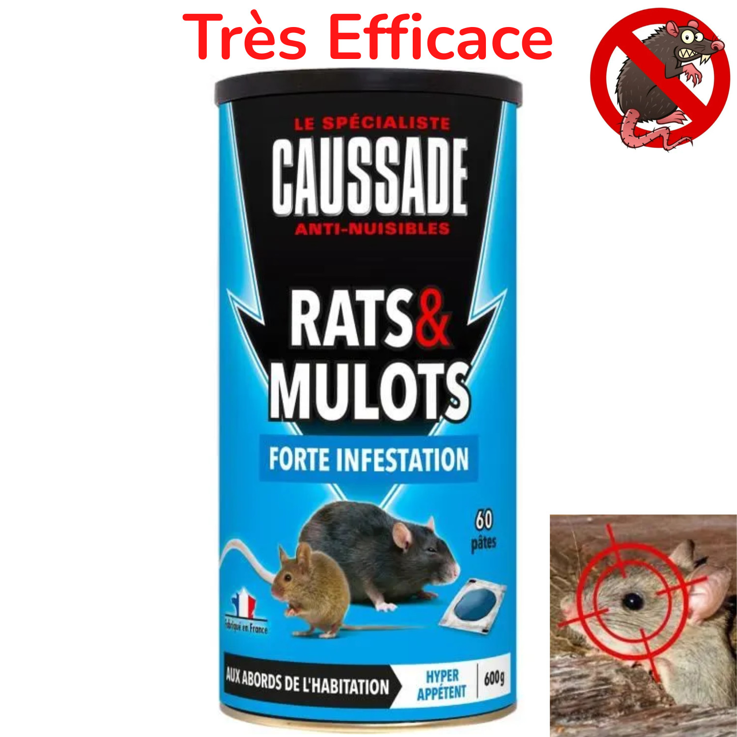 Anti rats et mulots Caussade élimine les rongeurs rebelles