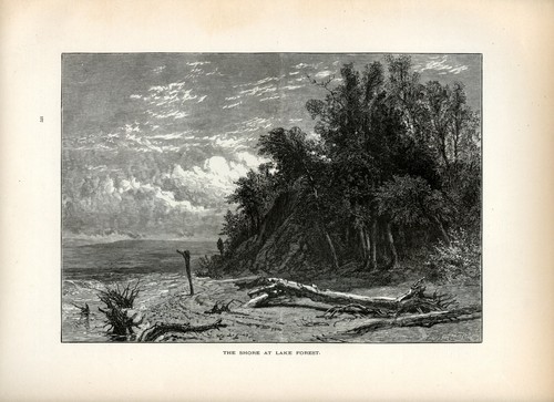 Lago Michigan, Lake Forest Beach, America storica 1874 antica incisione - Foto 2 di 4