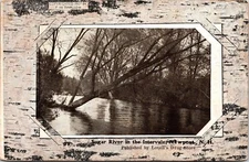 Sugar River Intervale Newport NH New Hampshire Antique Postcard PM Cancel DB
