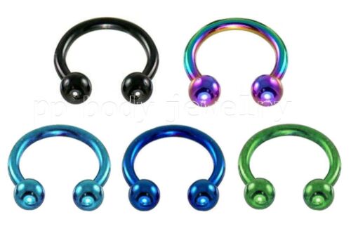 PAIR Anodized Surgical Steel Horseshoe Circular Barbell Earrings Labret ...