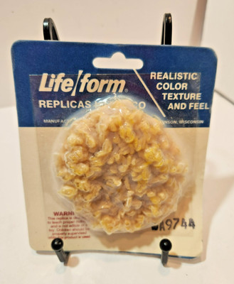 Nasco Life Form Realistic Food Replicas Nutrition Movie Props Still Life Display