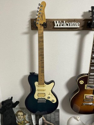 Electric Guitar Godin SD24 Quilted Top | eBay