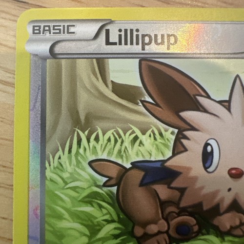 Lillipup 108/146 XY Regular - Bild 3 von 10