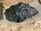Z~ Rainbow Obsidian fr Mexico Rough 7 Lbs — photo 1