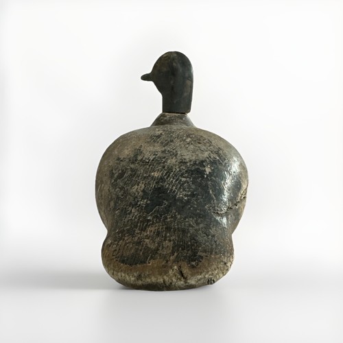 antik 1800er handgeschnitzt Holz Volkskunst Pintail Drake Ente Lockvogel Skulptur Kunst - Bild 11 von 11