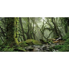 AWERT Tropical Forest Terrarium Background Stream Green Huge Tree Reptile Hab...