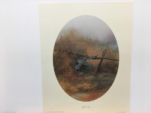 Tom Sander Ruffed Grouse & Gambels Quail Set of 2 Signed Art Print - Picture 2 of 2