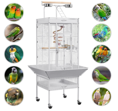 【リトグラフ】オーデュボン「アメリカの鳥類」NO.13 PL.65 単葉 初版 オーデュボンと本館 Audubon and Appi Main Building - 安比高原