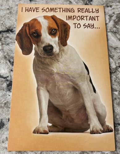 Birthday Funny Dog Something Important To Say.. 5'x7.75" Stockwell Greeting Card - 第 3/12 張圖片