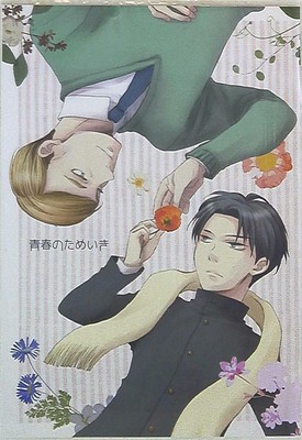 Doujinshi Momona Yuki Of Youth Sigh Attack On Titan Erwin X Levi Ebay