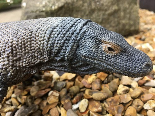 REBOR 1/6 Komodo Dragon Model Varanus Komodoensis Figure Adult Kids Toy Gift - Picture 10 of 17