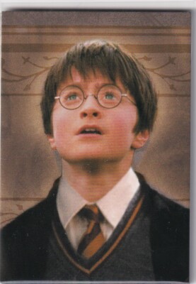 Panini Harry Potter Evolution Trading Cards Karte Nr. 2 Friends for Life