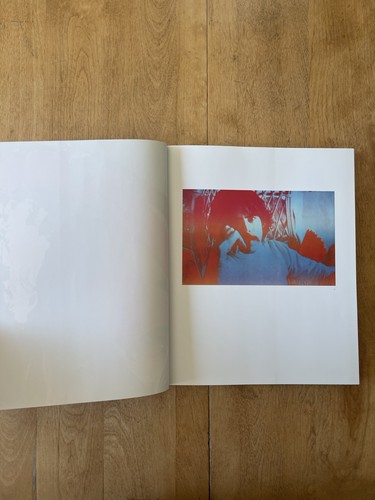 The Art of Peter Max, Peter Max, Charles A. Riley II - Imagen 13 de 23