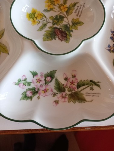 Royal Worcester 'Herbs' 34cm 6 Section Crudities/Hors D'oeuvres Dish. Excellent. - Picture 5 of 10