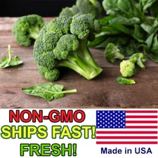 Broccoli Seeds | Non-GMO | Heirloom Fresh Garden Seeds USA