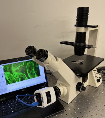 Zeiss Axiovert 25 CFL LED Fluorescence FITC Phase Contrast Microscope