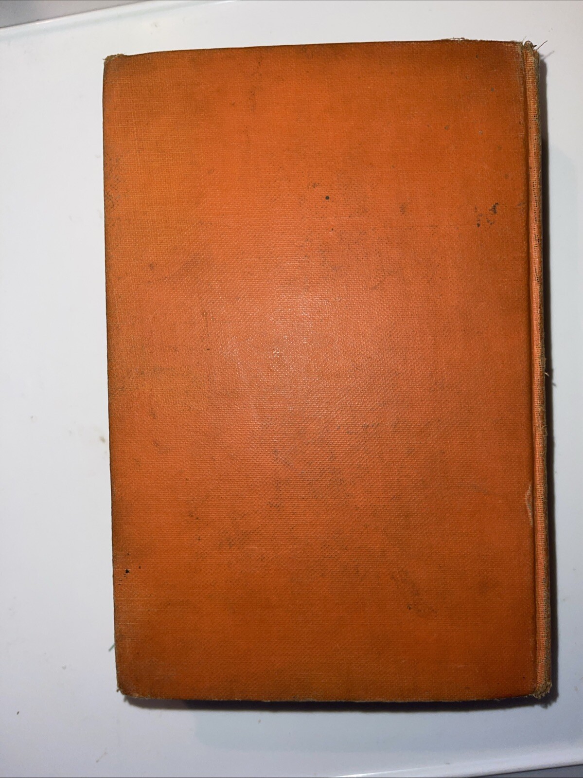 Picture 3 of 15