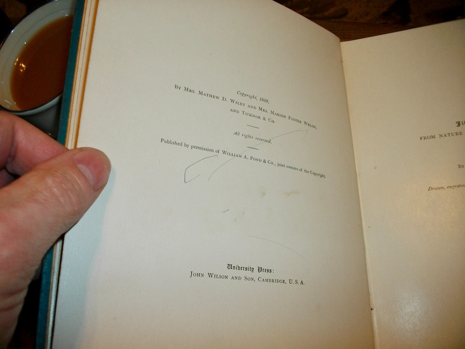 Picture 3 of 6