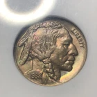 1938 D Buffalo Nickel ANACS MS65 ANA Beautiful Gem