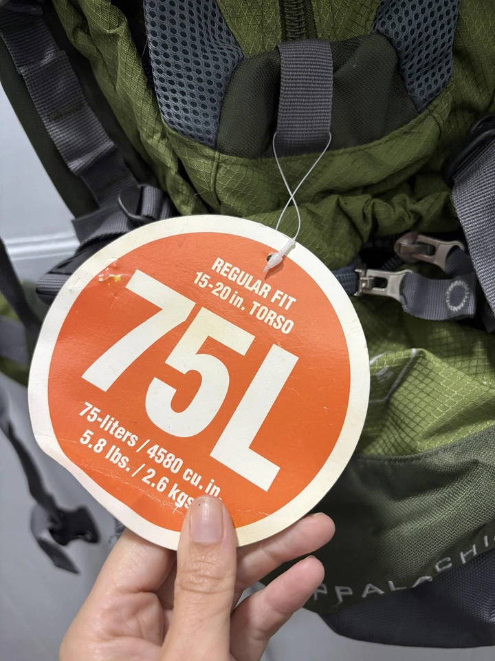 Mochila de senderismo High Sierra Appalachian 75L marco interno puerto de hidratación verde Foto 4 de 4