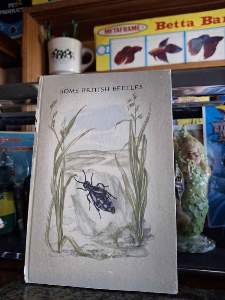老式老式水族箱美丽池塘昆虫 1948 年一些英国甲虫 - 小册子  — 第 2/4 张图片