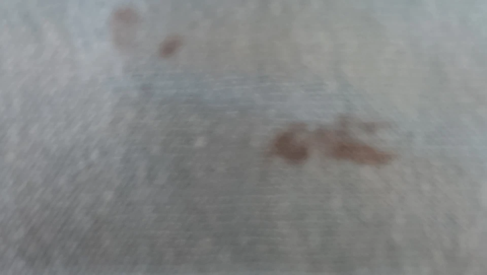 SUDADERA “CHILL OUT” JUSTICE GIRLS PENGUIN TALLA 10 ¡LEER! Foto 4 de 4