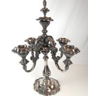 Foto 1 di 24