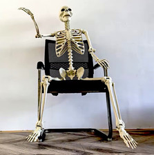 Halloween skeleton  90 cm