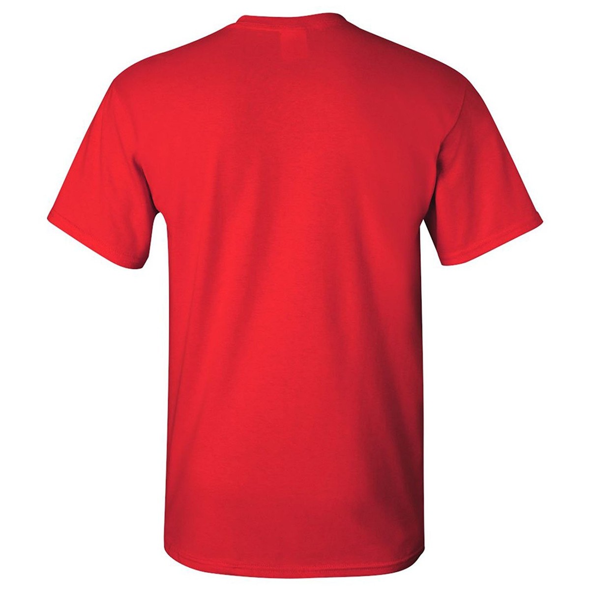 NCAA Arch Logo Color T-Shirt - Heavy Cotton Unisex Tee, Printed In Michigan, York College Red