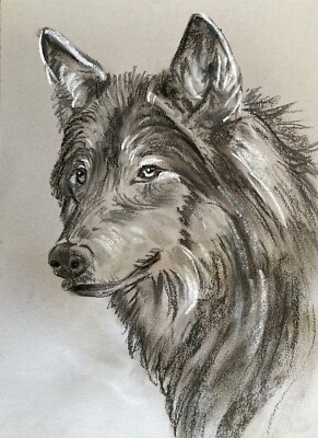 Impressionism Pastel Painting Drawing Dorothy Laz Trumpet wolf animals vfd