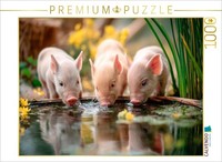 Calvendo Puzzle Piglet Happiness | 1000 Pieces, Finished Size 25.2 × 18.9 In (64