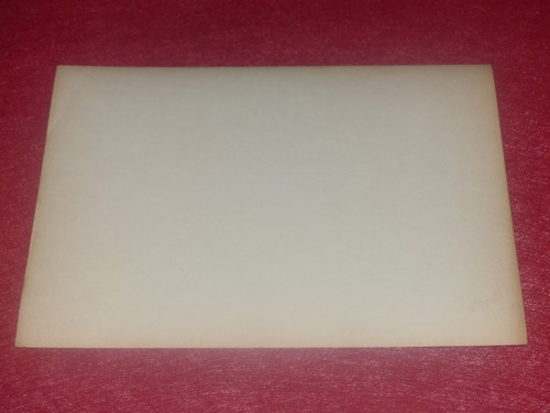 WERHLI - SUISSE ITALIE / LAC DE GARDE - CEDRES PHOTO ARGENTIQUE Ca 1900 - Photo 4 sur 5