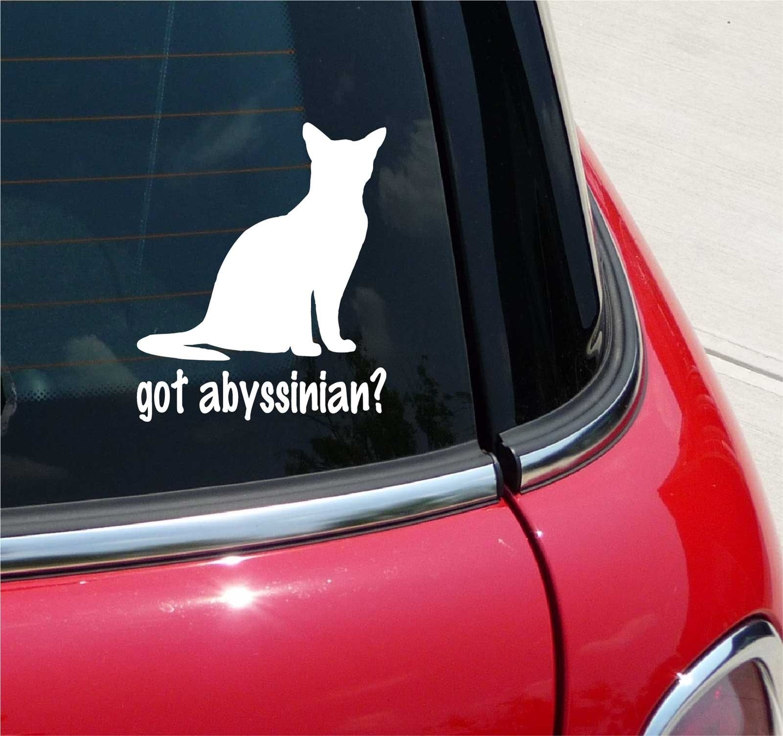 GOT ABYSSINIAN? CAT GRAPHIC DECAL STICKER ART CAR WALL DECOR