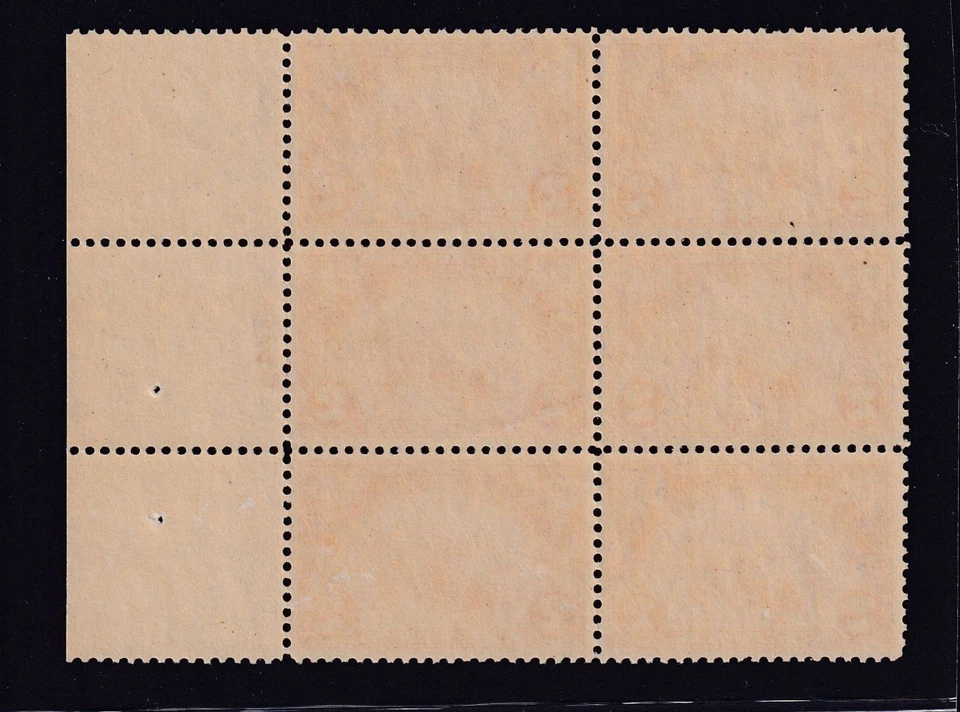 1924 Huguenot Walloon 2c carmine Sc 615 MNH VF original gum plate block of 6 (G9 - Image 2 of 2