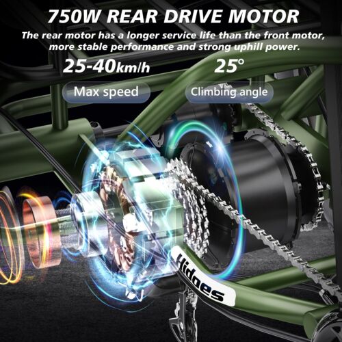 750W 20Zoll 25km/h Electric Tricycle E-Bike 3Wheels Bicycle Fat tire Cargo Trike - Bild 7 von 24
