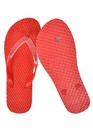 Bild 33 von 34