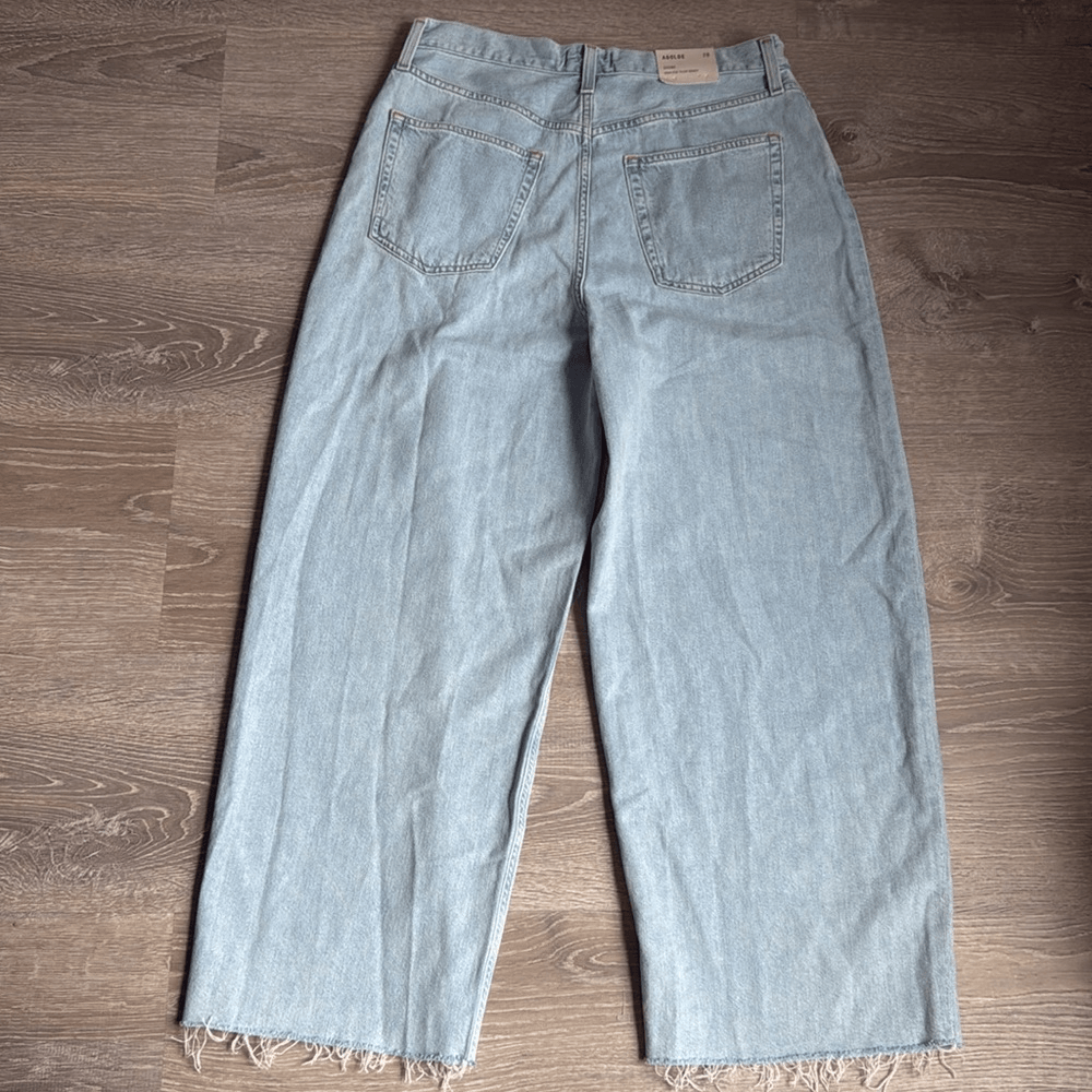 NEW AGOLDE Dagna High-Rise Pleated Baggy Jeans | eBay