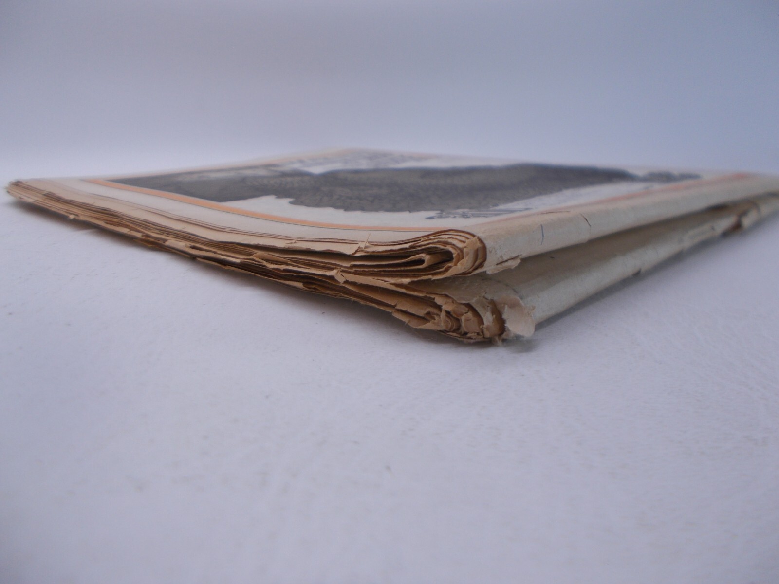 Bild 14 von 14