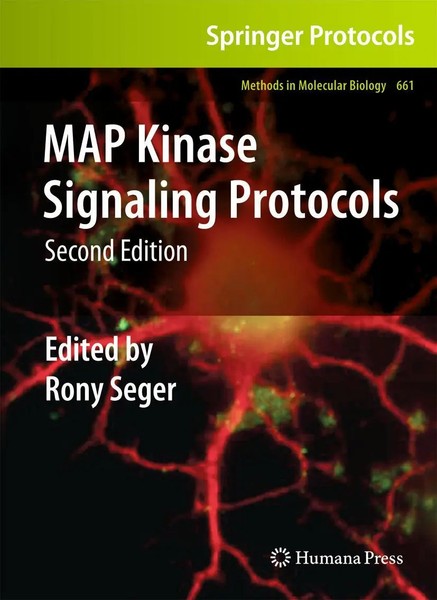 Rony Seger | MAP Kinase Signaling Protocols | Taschenbuch | Englisch (2016)-image