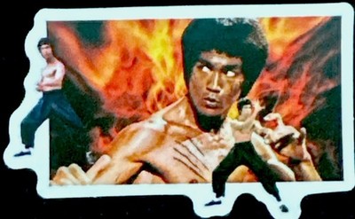 BRUCE LEE STICKER        2 1/4  X 1 1/2  AWESOME  
