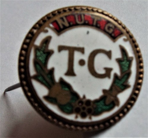 NUTG National Union of Townswomen Guilds Vintage Metal and Enamel Pin Badge - 第 1/2 張圖片