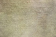 Celery green yellow HAND DYED RUG HOOKING WOOL Spotted Cur neutral background