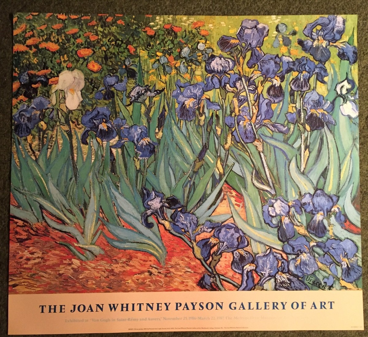 LARGE VINTAGE VAN GOGH IRISES POSTER METROPOLITAN MUSEUM OF