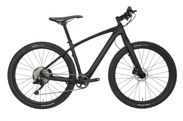 carbon hardtail