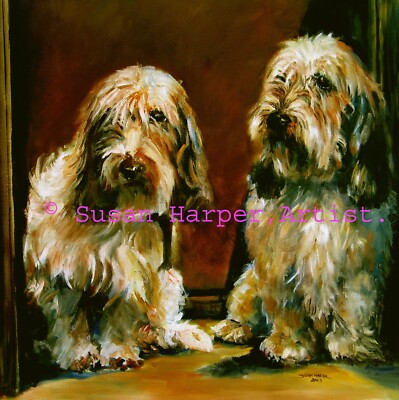 Basset Griffon Vendeen Petit Signed Dog Print by Susan Harper